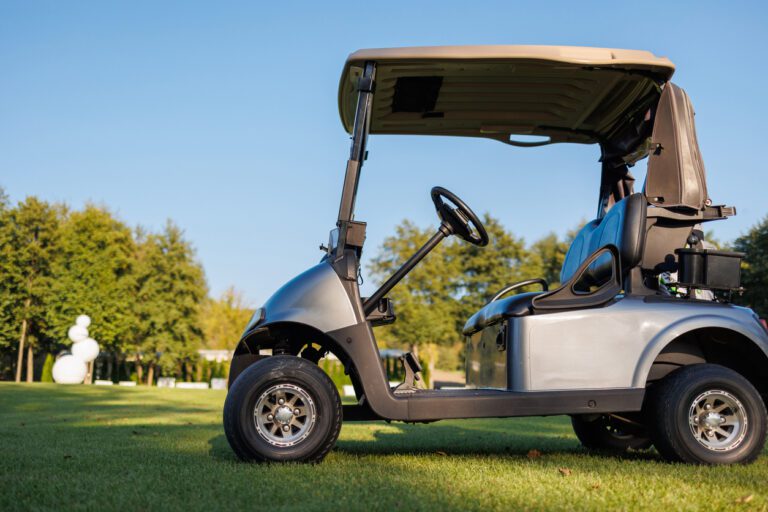 golf cart maintenance pinellas park